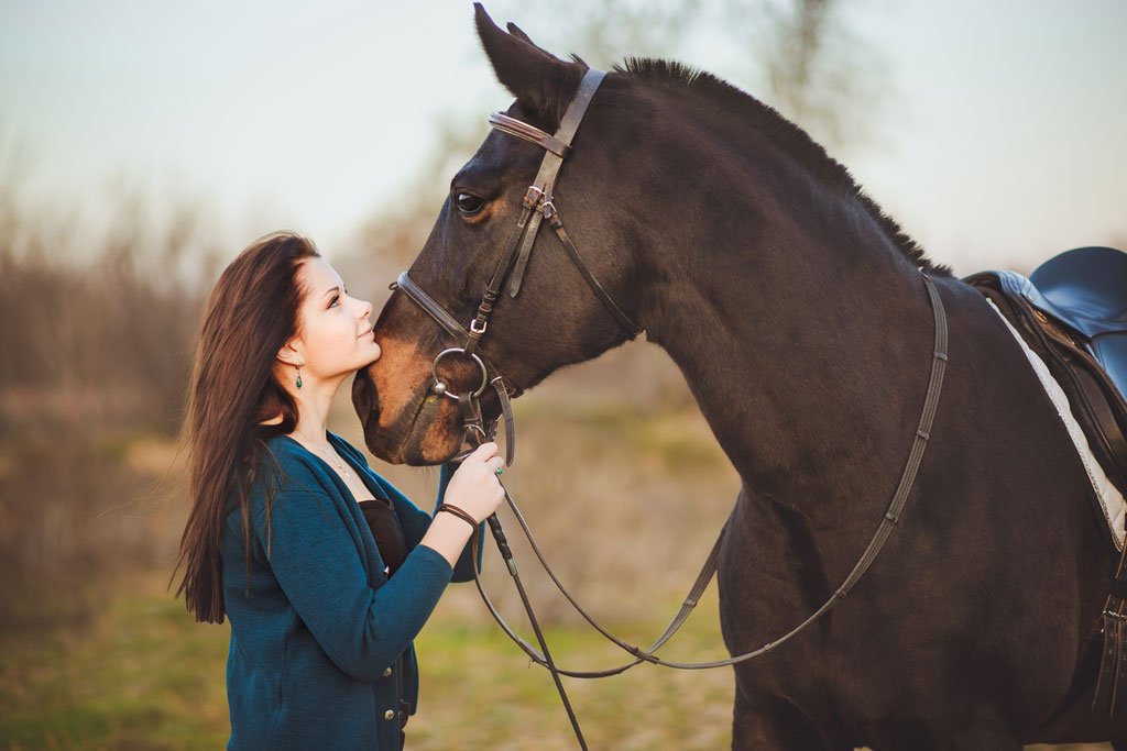 Принципы естественных отношений с лошадьми